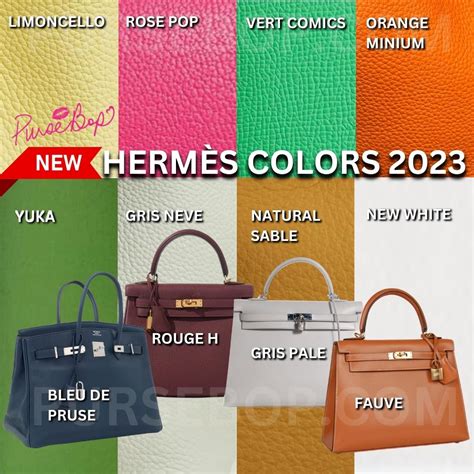 hermes colorful bags|Hermes luggage color chart.